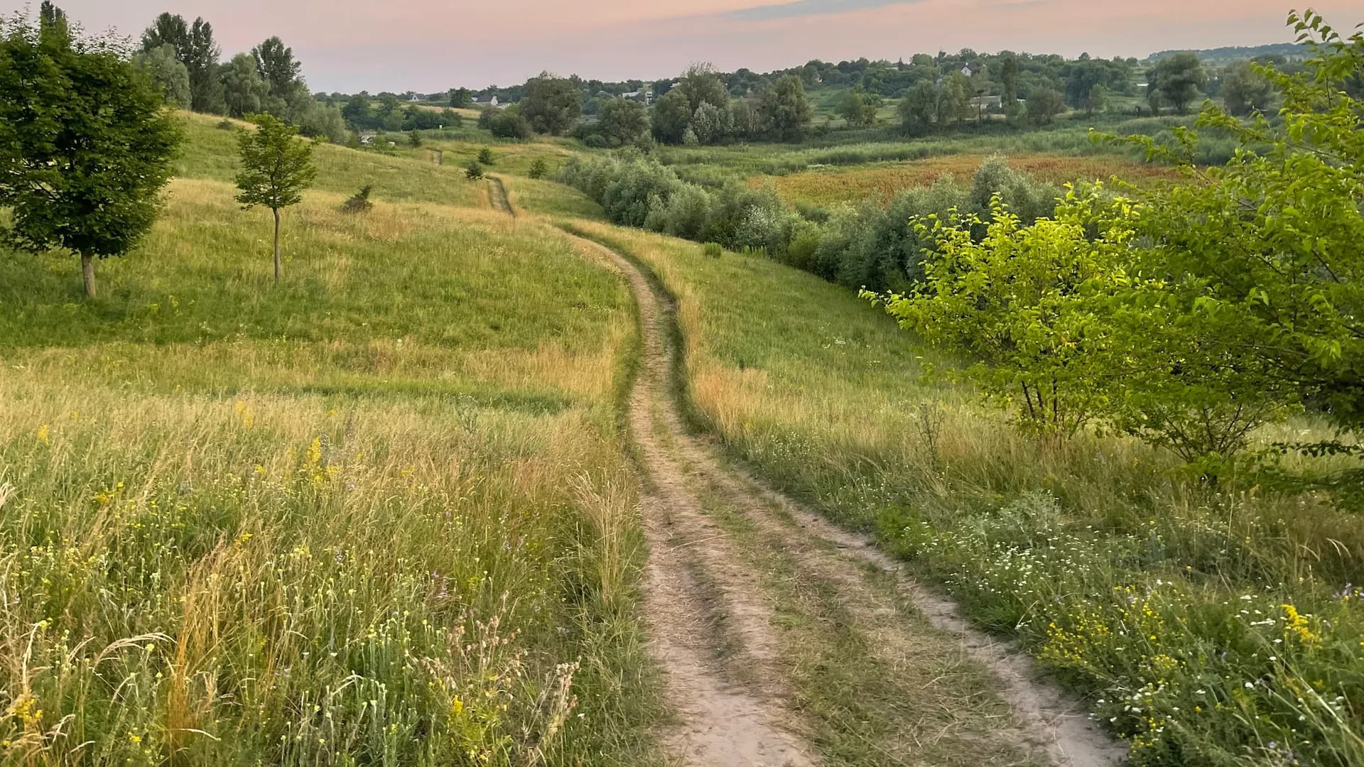 Field boundary at dusk with a farm track, no people