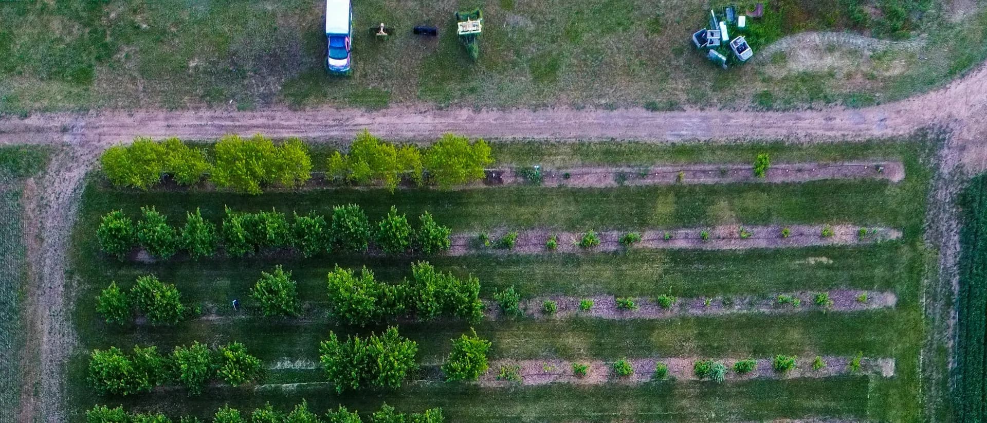 Field trial plots with marker posts, no people