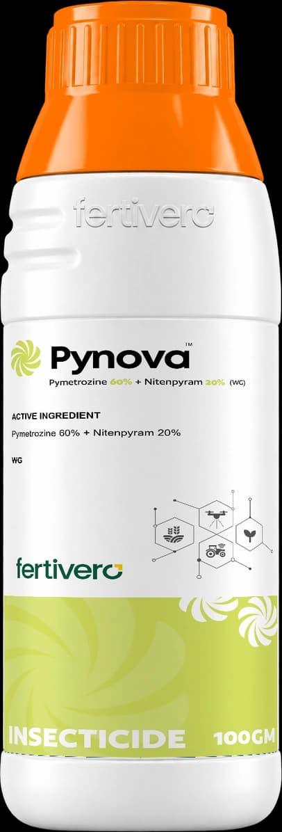 PYNOVA, 100gm pack